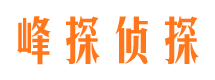 集安婚外情调查取证